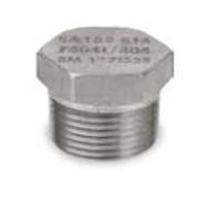 class 3000 stainless steel hex head plugs