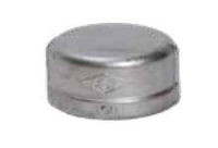 Picture of ¾ inch class 150 316 Stainless Steel threaded caps