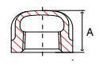 Picture of 2 inch class 150 316 Stainless Steel threaded caps