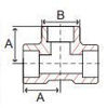 Picture of ¼ inch forged carbon steel socket weld straight tee