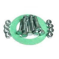 Picture of Non Asbestos Ring Gasket and Nut Bolt Kit for 1 inch ANSI class 300 flange